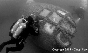 b-29-JDS-nose-Shaw